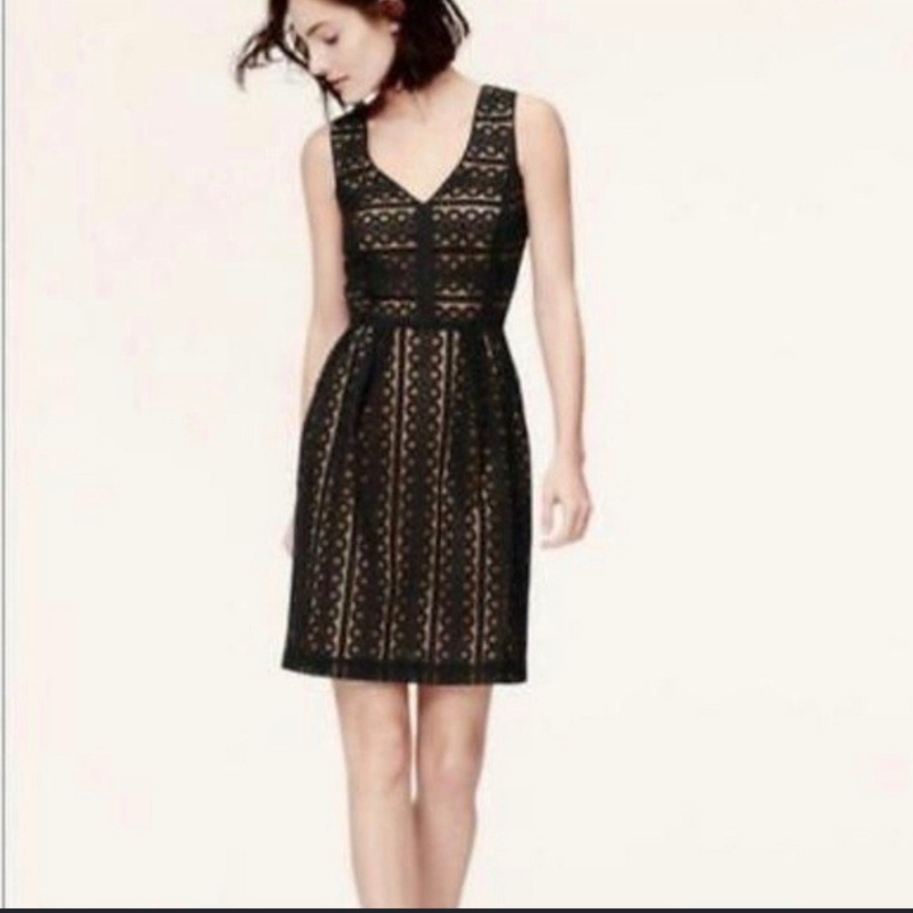 LOFT Black Eyelet Lace V-Neck Sleeveless Fit Flare Dress Nude Lining Womens 4‎